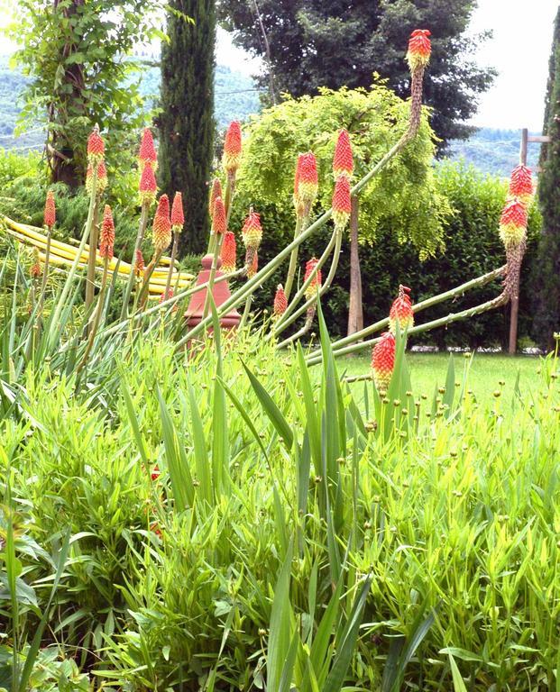 Holiday Home Il Moro Novo Cortona Exterior foto